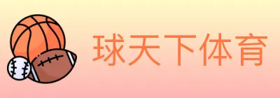 球天下体育 logo